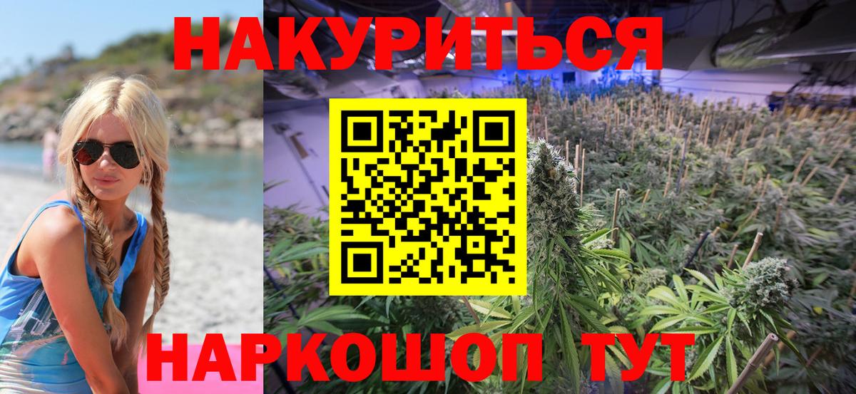 Канабис сатива Красноуфимск